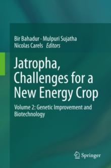 Jatropha, Challenges for a New Energy Crop : Volume 2: Genetic Improvement and Biotechnology