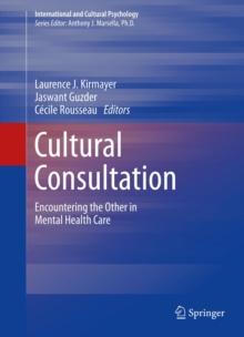 Cultural Consultation : Encountering the Other in Mental Health Care