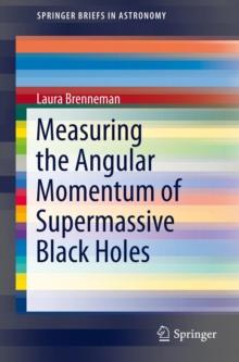 Measuring the Angular Momentum of Supermassive Black Holes