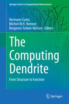 The Computing Dendrite : From Structure to Function