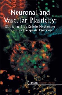 Neuronal and Vascular Plasticity : Elucidating Basic Cellular Mechanisms for Future Therapeutic Discovery