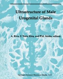 Ultrastructure of the Male Urogenital Glands : Prostate, Seminal Vesicles, Urethral, and Bulbourethral Glands