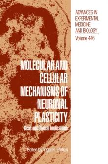 Molecular and Cellular Mechanisms of Neuronal Plasticity : Basic and Clinical Implications