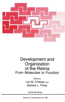 Development and Organization of the Retina : From Molecules to Function