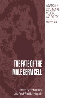 The Fate of the Male Germ Cell