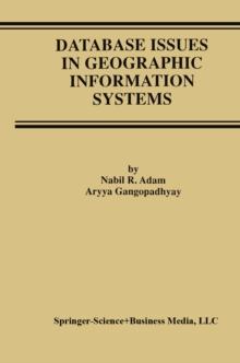 Database Issues in Geographic Information Systems