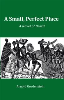 A Small, Perfect Place : A Novel of Brazil