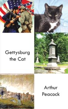 Gettysburg the Cat