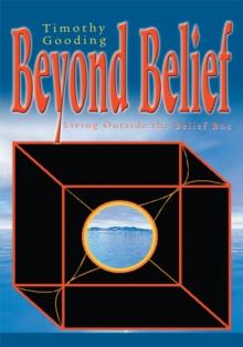 Beyond Belief : Living Outside the Belief Box