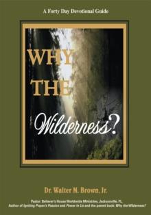 Why the Wilderness: a Forty Day Devotional Guide : God Sends Angels After We Go Through!