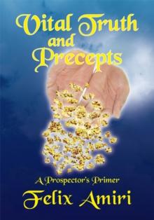 Vital Truth and Precepts : A Prospector's Primer