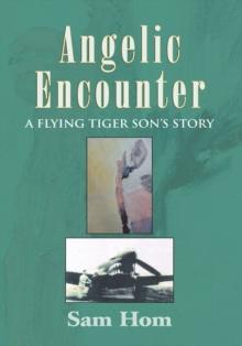 Angelic Encounter : A Flying Tiger Son's Story