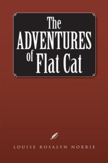 The Adventures of Flat Cat