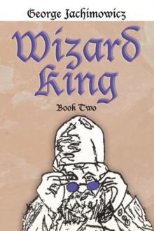 Wizard King : Book Two