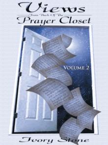 Views from Back of the Prayer Closet : Volume 2