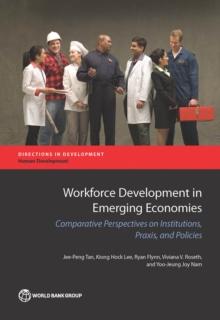 Workforce Development in Emerging Economies : Comparative Perspectives on Institutions, Praxis, and Policies