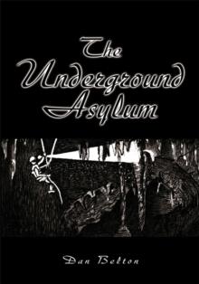 The Underground Asylum