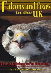 Falcons and Foxes in the U.K. : The Making of a Hunter