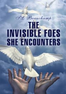 The Invisible Foes She Encounters