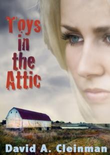 Toys In The Attic