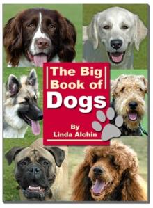 Big Book of Dogs