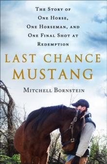 Last Chance Mustang : The Story of One Horse, One Horseman, and One Final Shot at Redemption