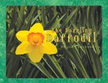 The Dazzling Daffodil