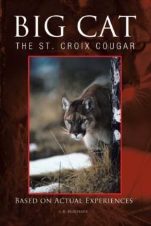 Big Cat : The St. Croix Cougar