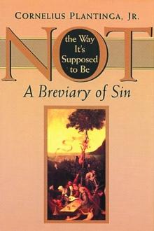 Not the Way It's Supposed to Be : A Breviary of Sin