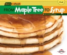 From Maple Tree to Syrup