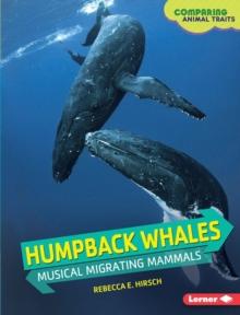 Humpback Whales : Musical Migrating Mammals