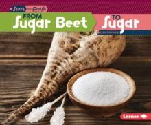 From Sugar Beet to Sugar