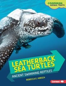 Leatherback Sea Turtles : Ancient Swimming Reptiles