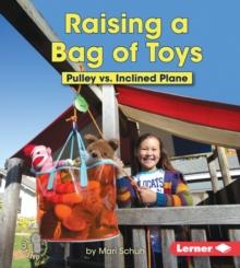 Raising a Bag of Toys : Pulley vs. Inclined Plane