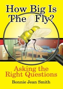 How Big Is the Fly? : Asking the Right Questions