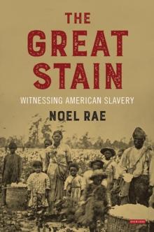 The Great Stain : Witnessing American Slavery