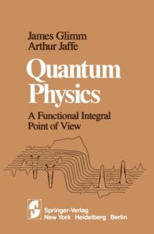 Quantum Physics : A Functional Integral Point of View