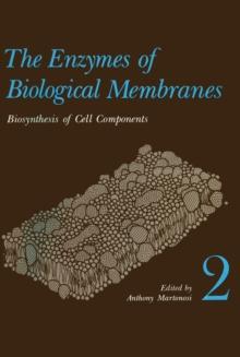 The Enzymes of Biological Membranes : Volume 2 Biosynthesis of Cell Components