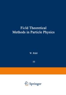 Field Theoretical Methods in Particle Physics