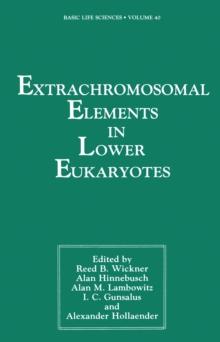 Extrachromosomal Elements in Lower Eukaryotes