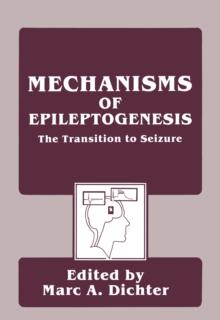 Mechanisms of Epileptogenesis : The Transition to Seizure