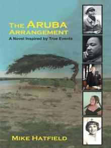 The Aruba Arrangement : A Novel Inspired by True Events.