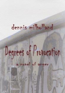 Degrees of Provocation : A Novel of Anger