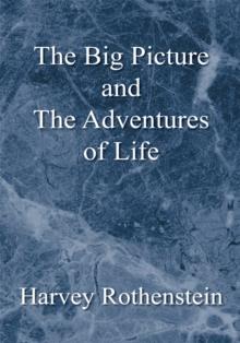 The Big Picture and the Adventures of Life