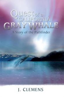 Quest of a California Gray Whale : A Story of the Pathfinder