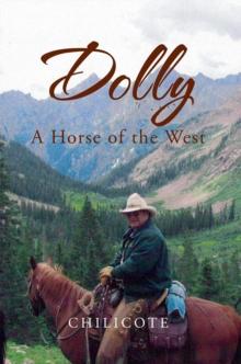 'Dolly' : A Horse of the West