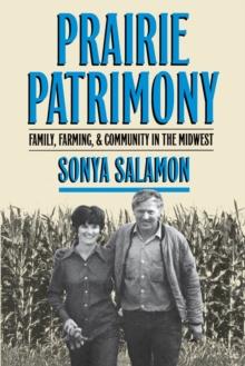 Prairie Patrimony : Family, Farming, and Community in the Midwest