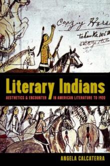 Literary Indians : Aesthetics and Encounter in American Literature to 1920