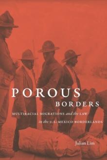 Porous Borders : Multiracial Migrations and the Law in the U.S.-Mexico Borderlands