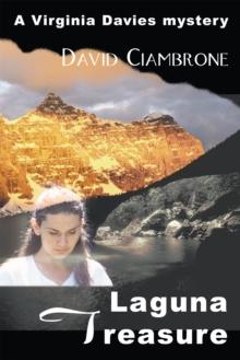 Laguna Treasure : A Virginia Davies Mystery